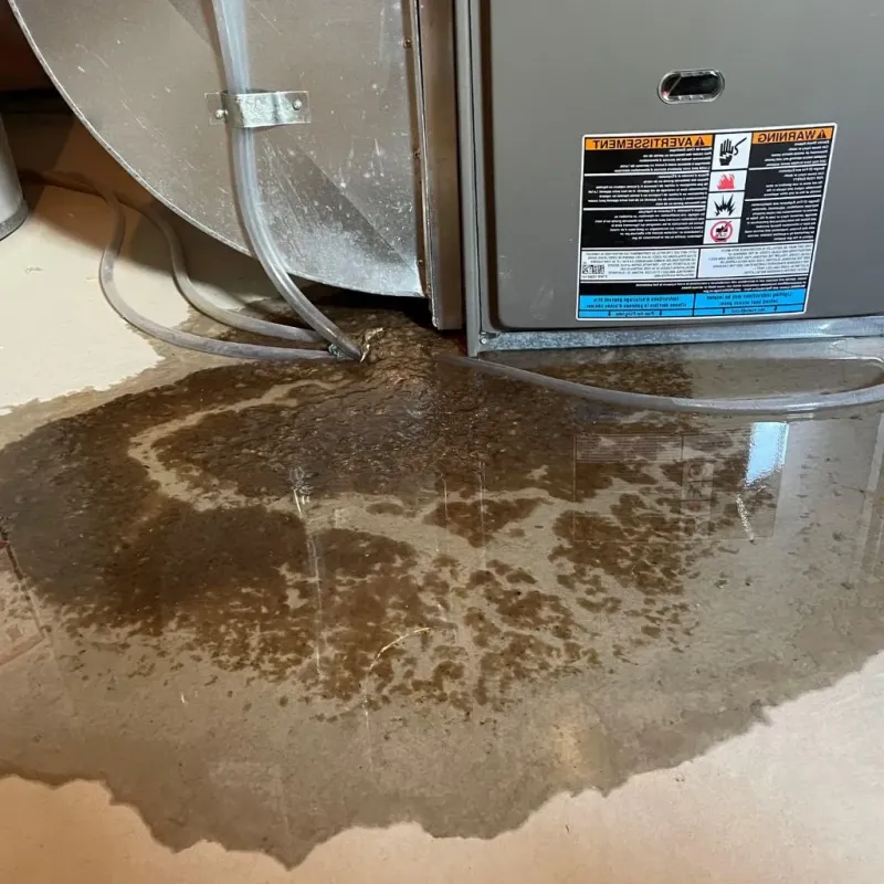 Pipe Burst and Leak Restoration in Saint Stephen, SC